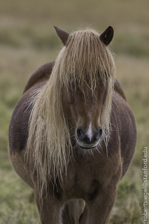 iceland 2019